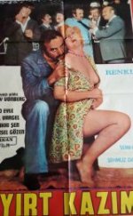 Aşkın Zirveleri Erotik Filmi izle